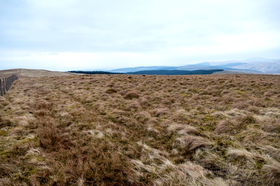 Hods Hill towards Beld Knowe