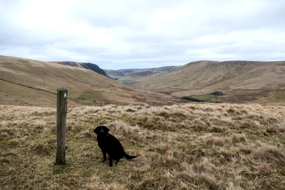 Inca at pass between Polgown and Sanquhar on Southern Upland Way