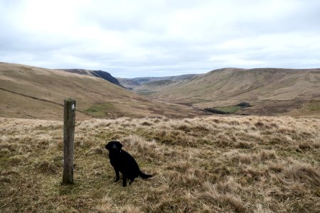 Inca at pass between Polgown and Sanquhar on Southern Upland Way