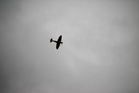 IMG 1476