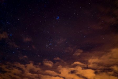 Taurus and Pleiades photo