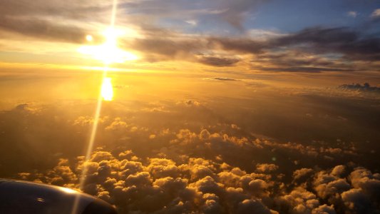 Golden sky...