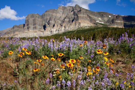 Glacier National Park photo