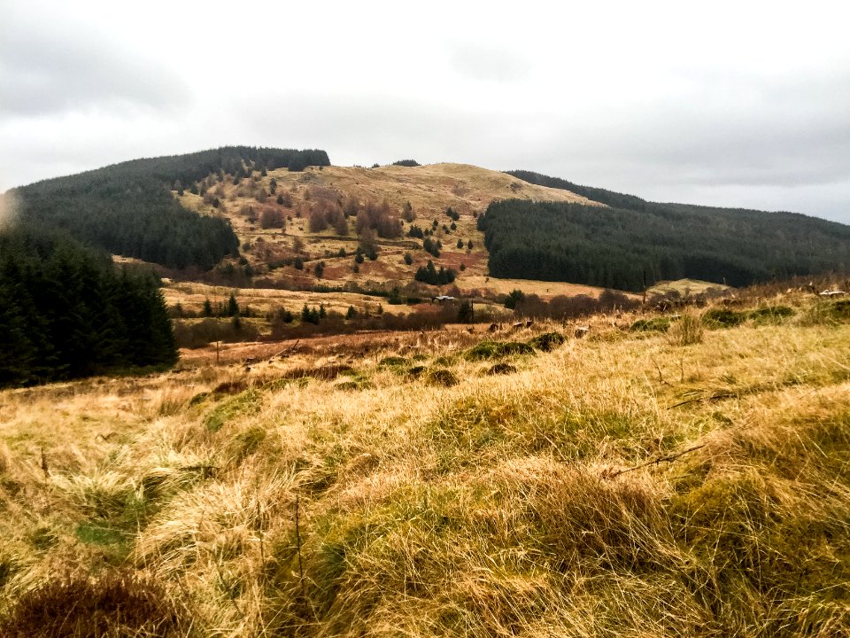 Craig Hill near Beattock