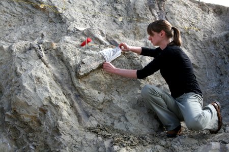 Making a cast