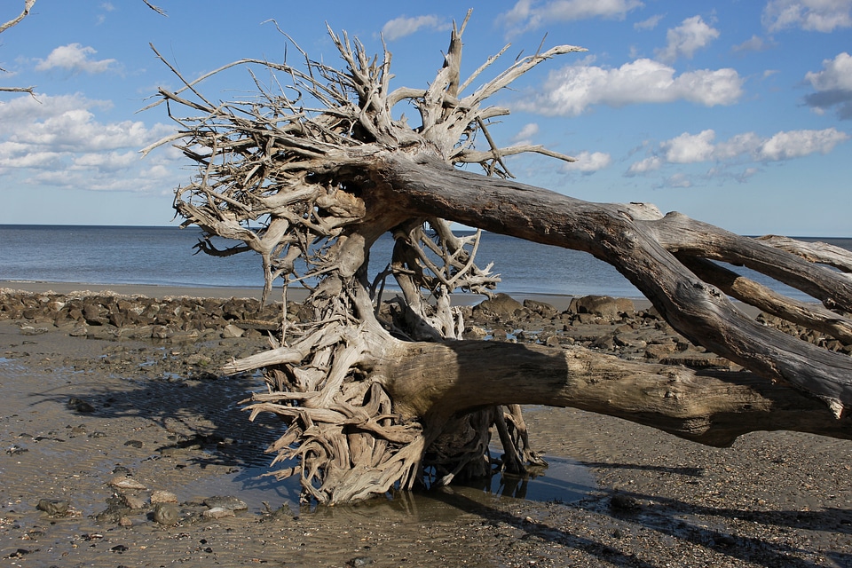 Landscape coast sea