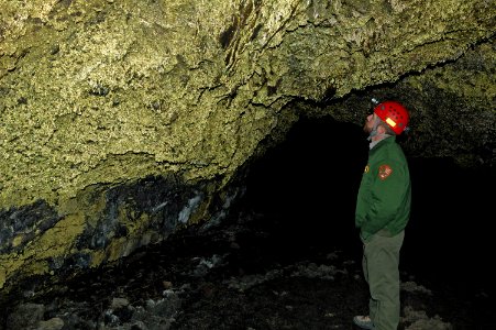 Bacteria growing within water drops colors the walls golden in Golden Dome Cave in Lava Beds National Monument. photo