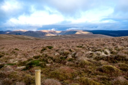Early morning on Black HIll
