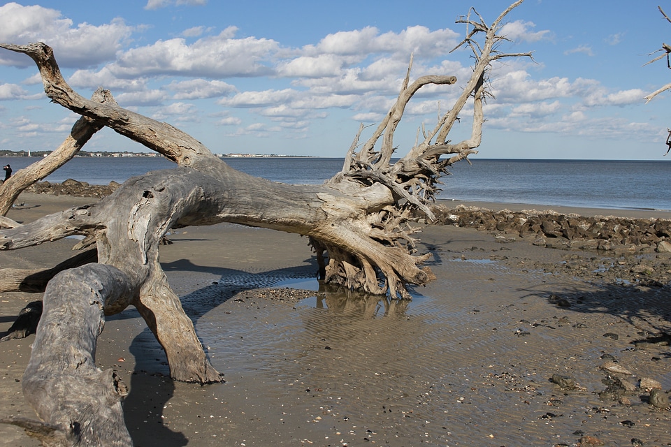 Landscape sand beach photo