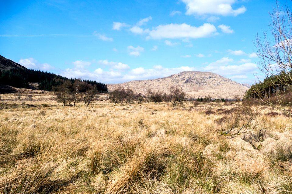 Merrick from Black Laggan at Loch Dee