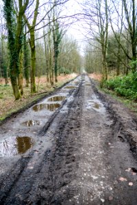 Southern Upland Way on Culhorn Estate