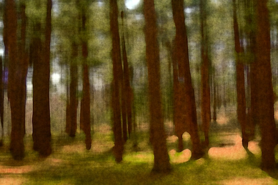 Deepforest abstractwatercolor03
