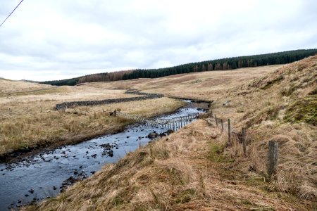 Black Water and Glenshimmeroch Hill