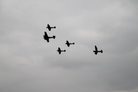 IMG 1629