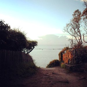 Noirmoutier photo