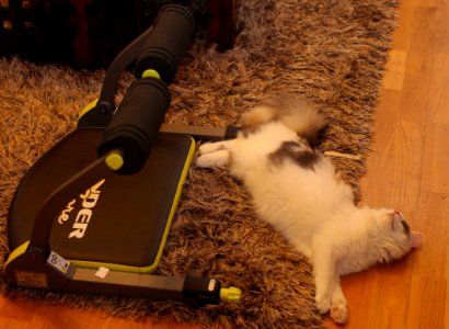 Done exercising..!