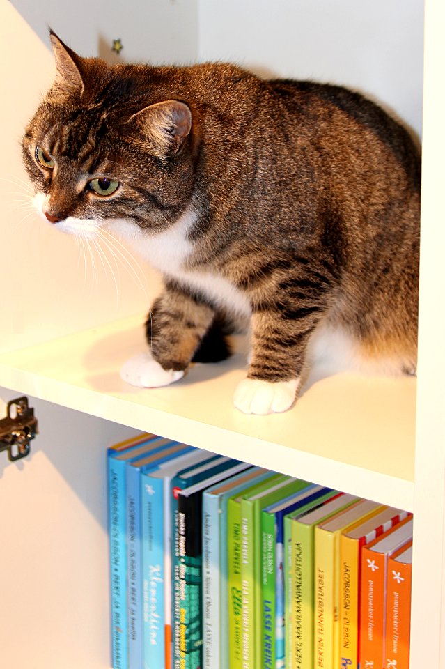Anything good to read..?