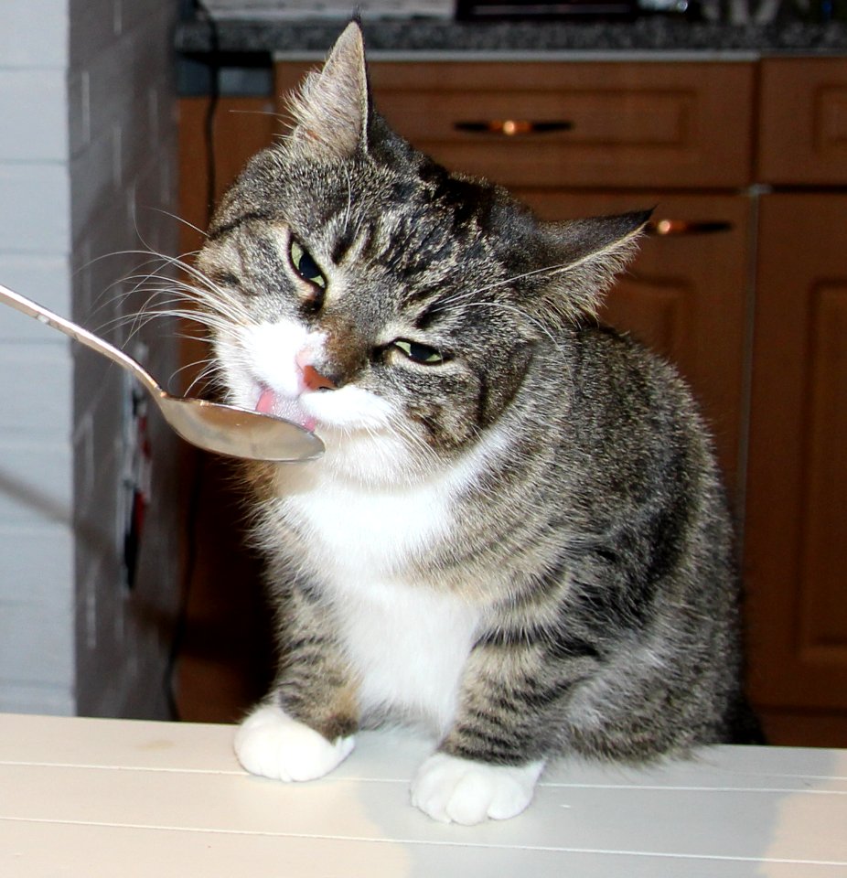Yummy!