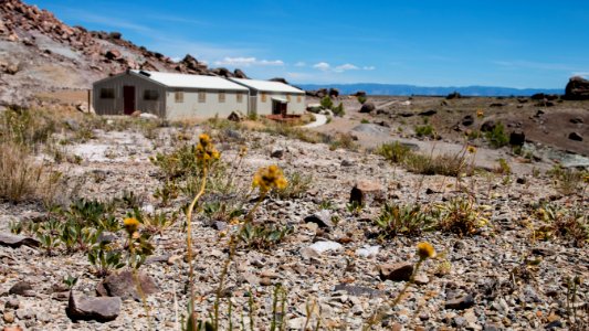 Cleveland-Lloyd Dinosaur Quarry, Utah