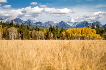 Big Prairie in Glacier National Park photo