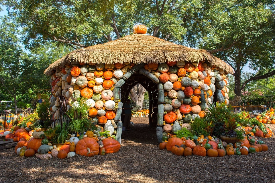 Dallas autumn outdoors