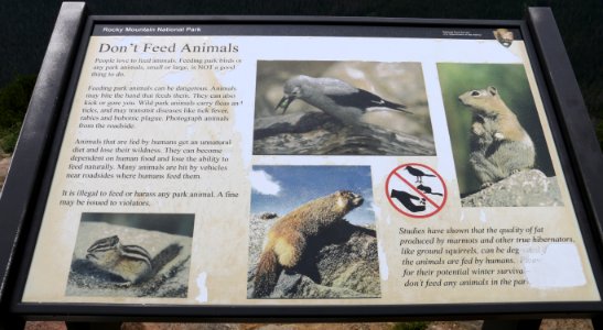 Do Not Feed Animals Sign