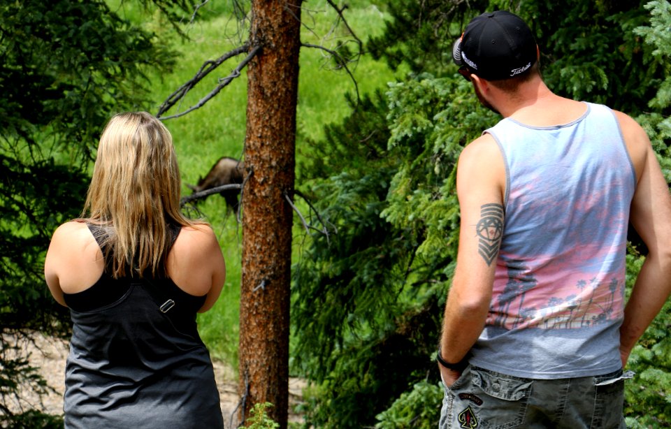 Watching Wildlife