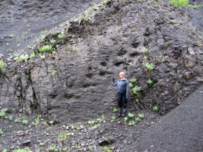 Trackway photo