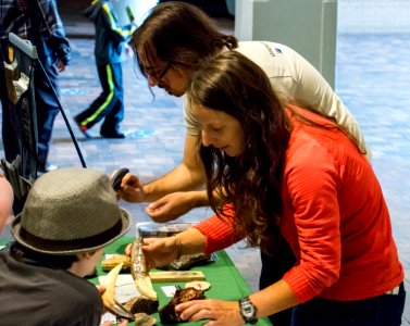 National Fossil Day at Denver Museum of Nature and Science