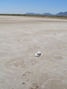 Mammoth tracks