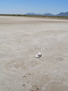 Mammoth tracks photo