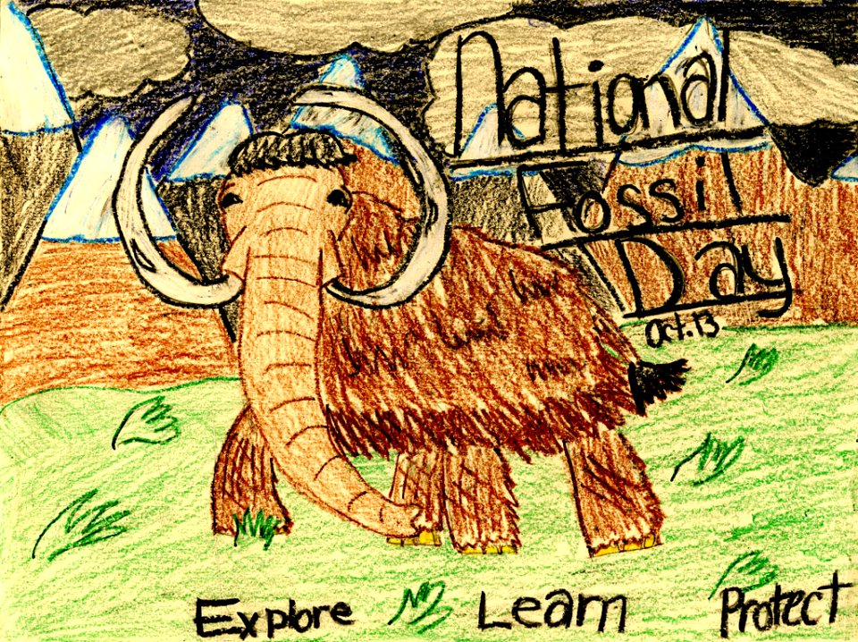 (2010) 9-13 Year Old Category