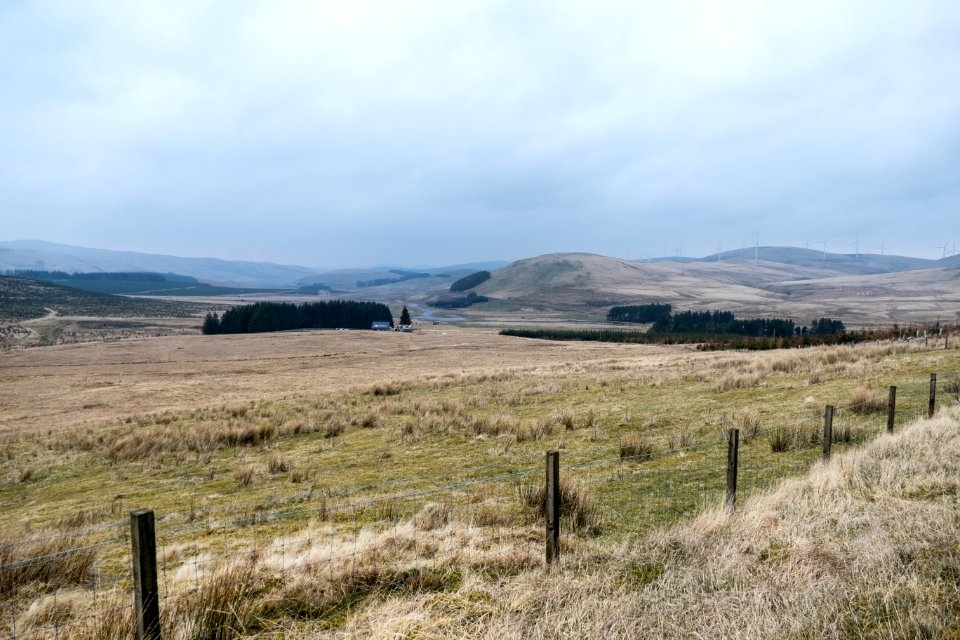 Hitteril and Daerside Farms
