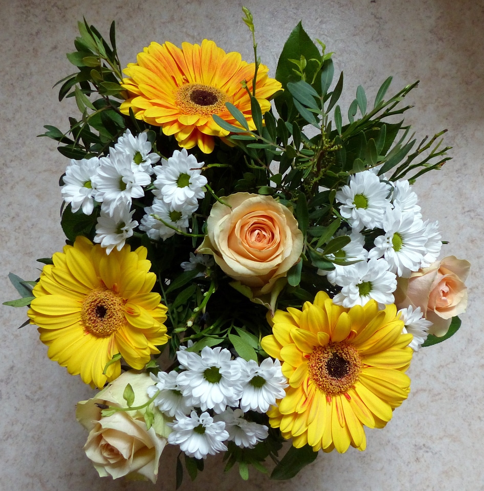 Chrysanthemums yellow white
