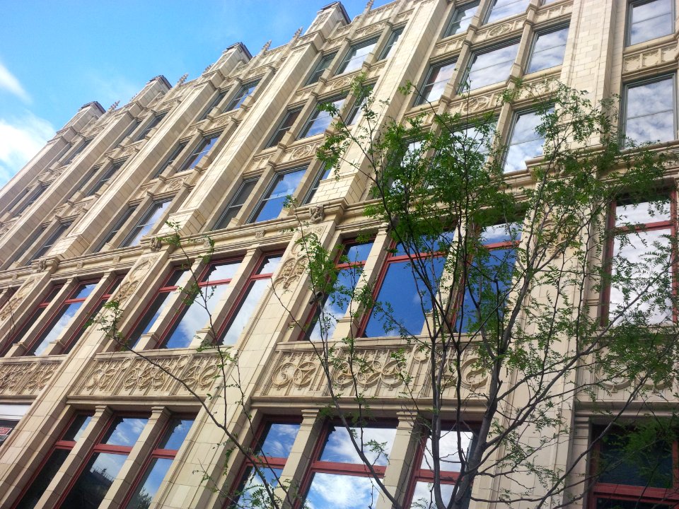 City TV and the little birdies