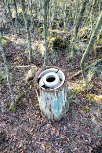 Broken kist containing hoard in Galloway Forest Park