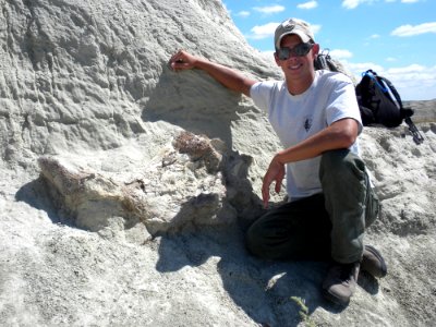 Brontothere skull