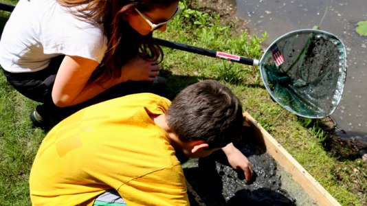 Sampling at BioBlitz 2016