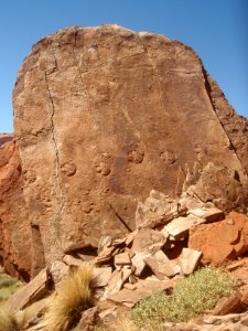 Ornithopod-like trackway photo