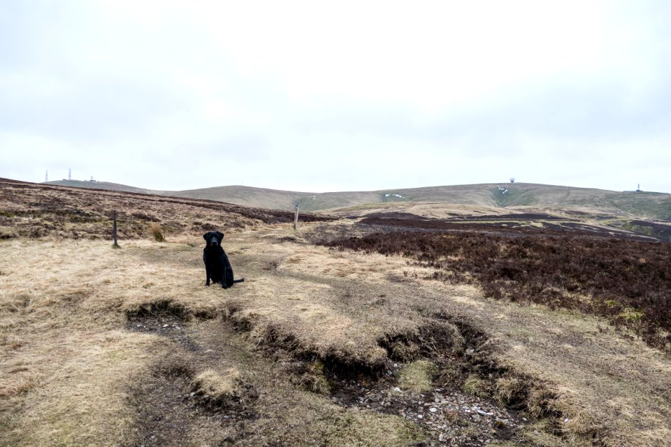 Inca on Stake Hill