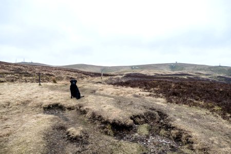 Inca on Stake Hill