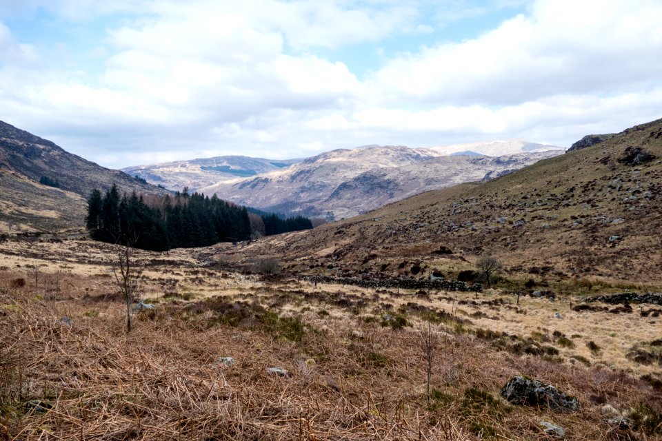 Looking down glen towards Loch Trool