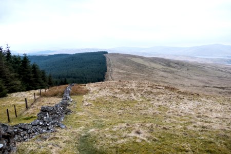 Beld Knowe from Hods Hill