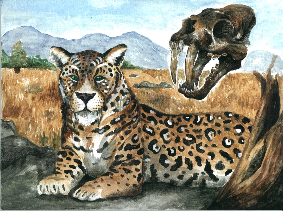 (2013) 9-13 Year Old Category