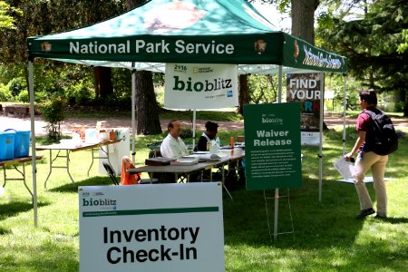 BioBlitz 2016