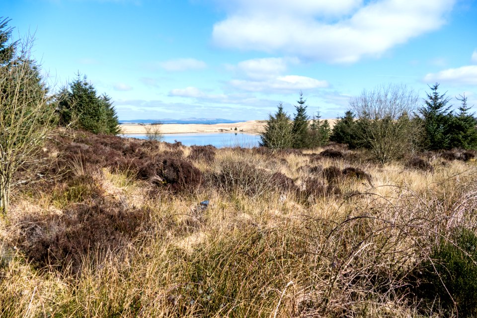 Loch Derry near White Hill on Southern Upland Way