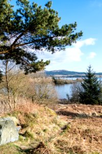 Lochside at Clatteringshaws in Galloway Forest Park