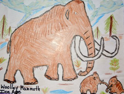 (2015) 5-8 Year Old Category