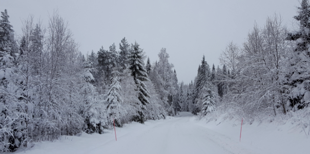 Winter Road