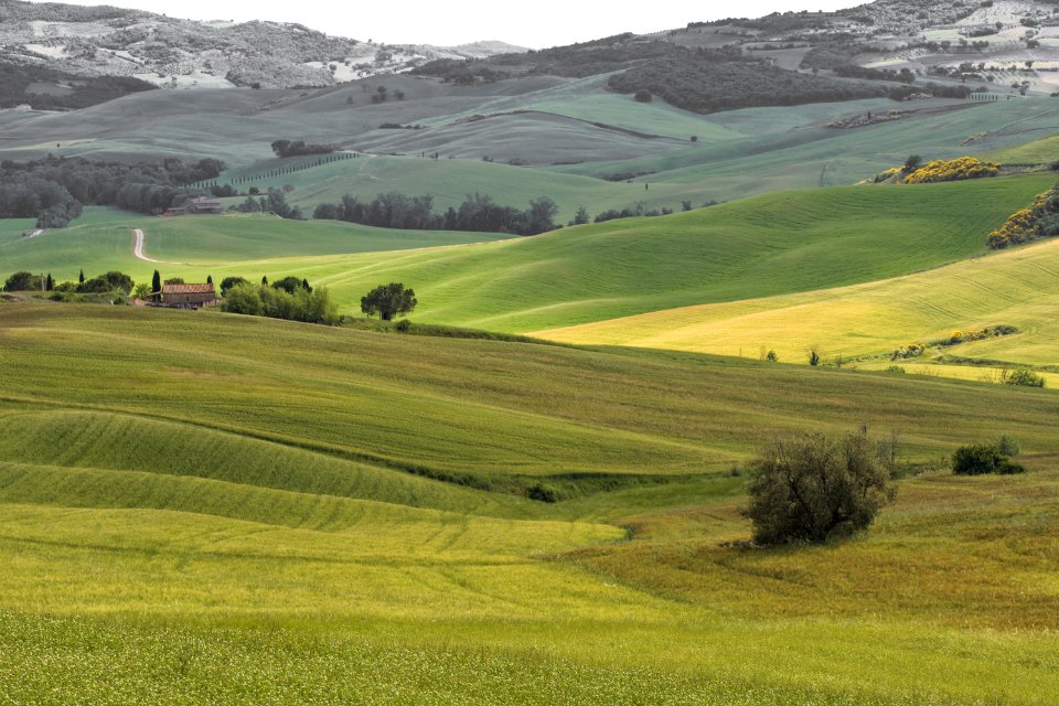 Val d'Orcia